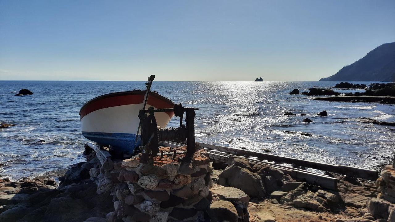 Les Bois Flottes . Plage De La Verne La Seyne-sur-Mer Exterior foto