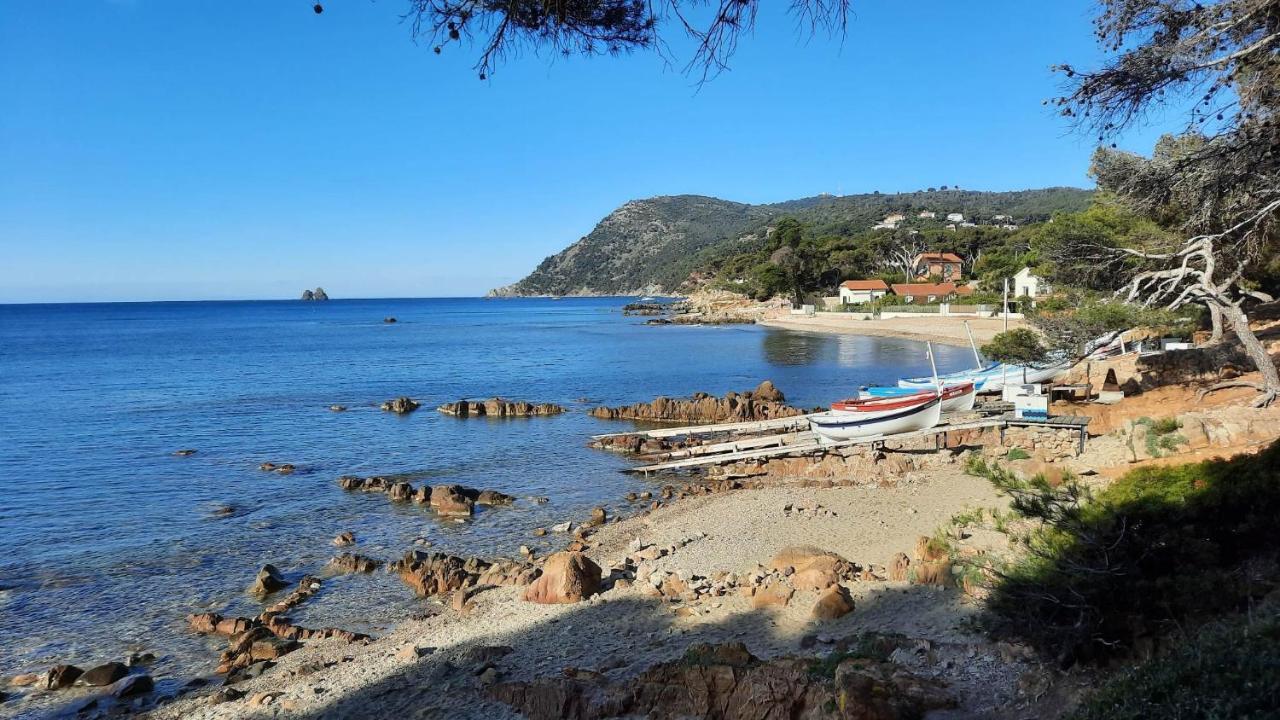 Les Bois Flottes . Plage De La Verne La Seyne-sur-Mer Exterior foto