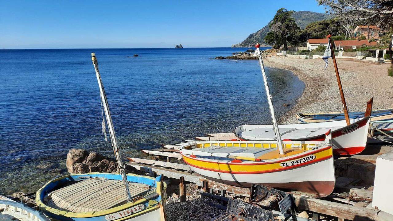 Les Bois Flottes . Plage De La Verne La Seyne-sur-Mer Exterior foto